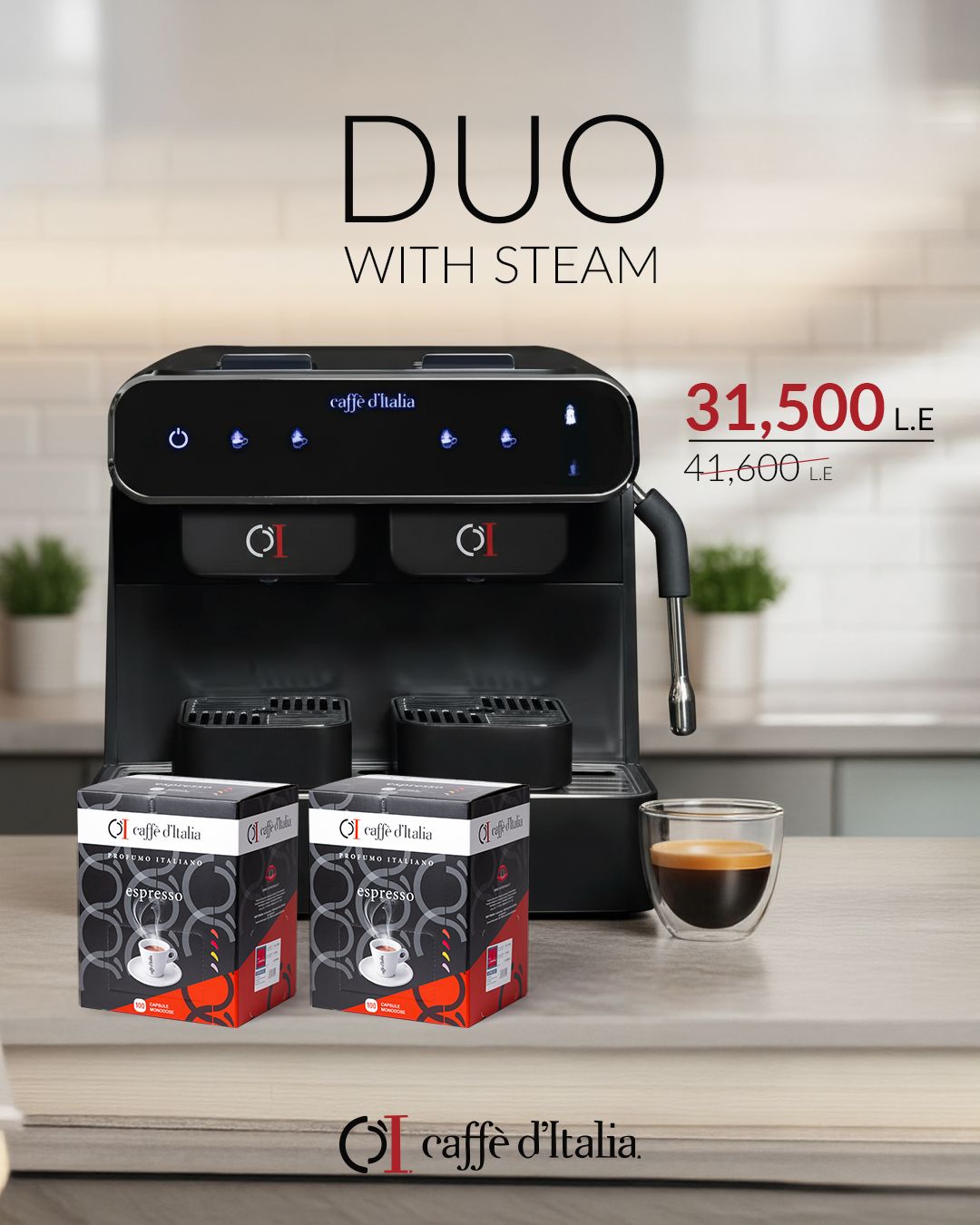 Bundles DUO WITH STEAM